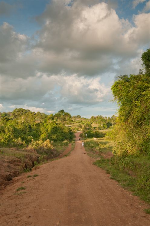 Country road